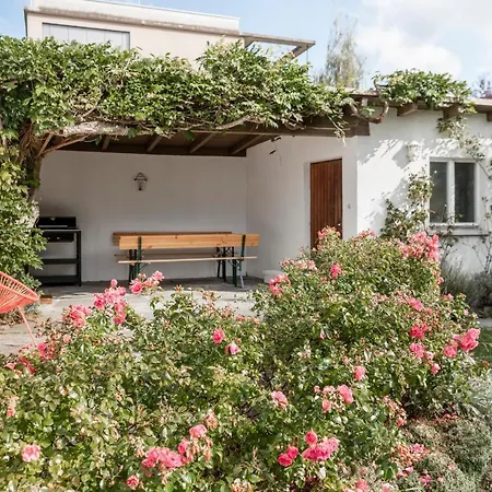 Haus Im Zentrum Mit Garten Bregenz Exteriér fotografie